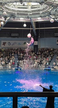 マクセル アクアパーク品川に投稿された画像（2024/3/24）