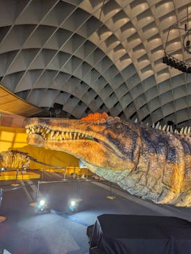 オダイバ恐竜博覧会2024 -福井から“ヤツラ”が新幹線でやってくる！-に投稿された画像（2024/3/24）