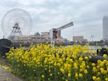 横浜みなとみらい 万葉倶楽部に投稿された画像（2024/3/25）