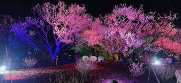 せんだい農業園芸センター　みどりの杜に投稿された画像（2024/3/24）