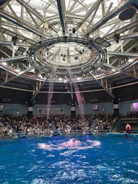 マクセル アクアパーク品川に投稿された画像（2024/3/24）