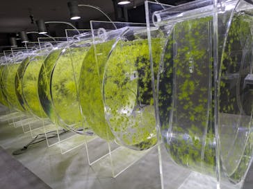 AOAO SAPPOROに投稿された画像（2024/3/24）