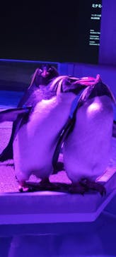 AOAO SAPPOROに投稿された画像（2024/3/24）