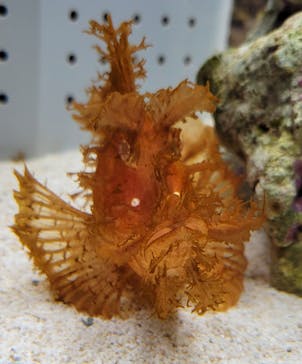 AOAO SAPPOROに投稿された画像（2024/3/24）