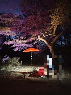 六義園に投稿された画像（2024/3/24）