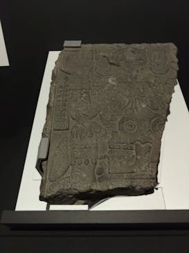 特別展「古代メキシコ ーマヤ、アステカ、テオティワカン」に投稿された画像（2024/3/24）