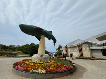 沖縄美ら海水族館に投稿された画像（2024/3/24）
