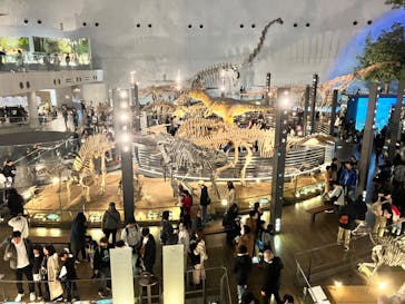 福井県立恐竜博物館に投稿された画像（2024/3/24）