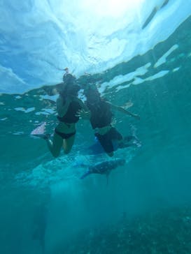 宮古島 ADVENTURE PiPi（ミヤコジマ アドベンチャー ピピ）に投稿された画像（2024/3/24）