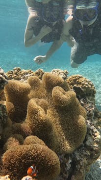 宮古島 ADVENTURE PiPi（ミヤコジマ アドベンチャー ピピ）に投稿された画像（2024/3/24）