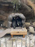 サンシャイン水族館に投稿された画像（2024/3/25）