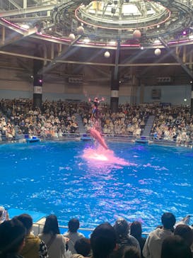 マクセル アクアパーク品川に投稿された画像（2024/3/24）