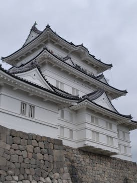 小田原城に投稿された画像（2024/3/25）