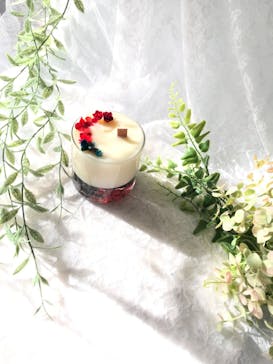 ずこうしつ〜sugamo〜に投稿された画像（2024/3/25）