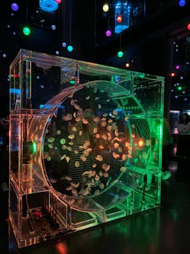 マクセル アクアパーク品川に投稿された画像（2024/3/25）