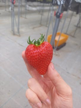 MIGAKI FARMに投稿された画像（2024/3/25）