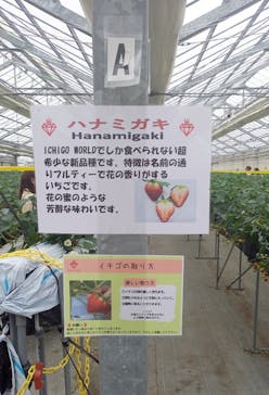 MIGAKI FARMに投稿された画像（2024/3/25）