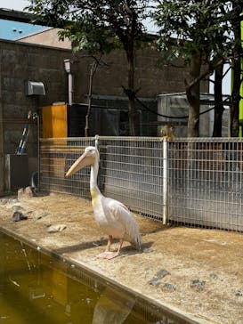 東武動物公園に投稿された画像（2024/3/25）
