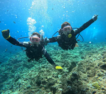 武藤潜水に投稿された画像（2024/3/25）