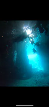 武藤潜水に投稿された画像（2024/3/25）