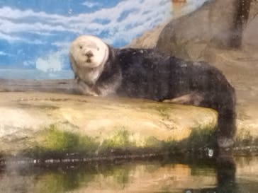 マリンワールド海の中道に投稿された画像（2024/3/25）