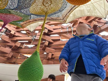 彫刻の森美術館に投稿された画像（2024/3/25）