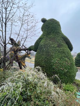 浜名湖花博2024に投稿された画像（2024/3/25）