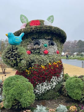 浜名湖花博2024に投稿された画像（2024/3/25）