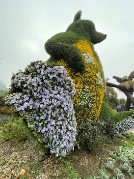 浜名湖花博2024に投稿された画像（2024/3/25）