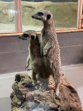 DMMかりゆし水族館に投稿された画像（2024/3/25）