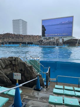 名古屋港水族館に投稿された画像（2024/3/25）