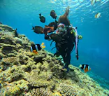 沖縄マリンサービス碧に投稿された画像（2024/3/25）