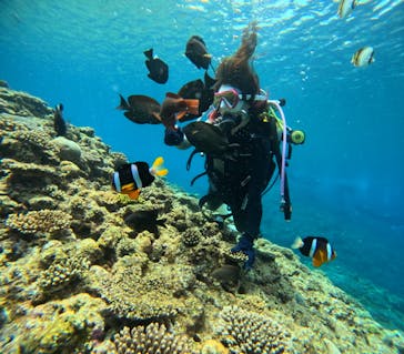 沖縄マリンサービス碧に投稿された画像（2024/3/25）