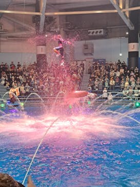 マクセル アクアパーク品川に投稿された画像（2024/3/25）