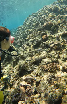 武藤潜水に投稿された画像（2024/3/25）