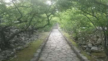 今帰仁城跡に投稿された画像（2024/3/25）