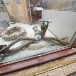 横浜・八景島シーパラダイスに投稿された画像（2024/3/25）