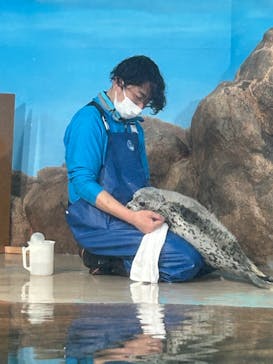 しながわ水族館に投稿された画像（2024/3/25）