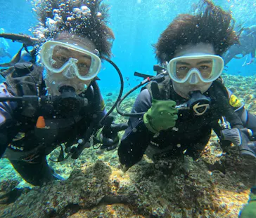 武藤潜水に投稿された画像（2024/3/25）