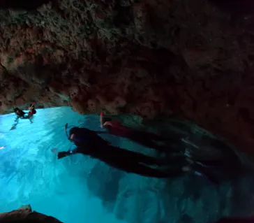 武藤潜水に投稿された画像（2024/3/25）