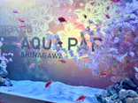マクセル アクアパーク品川に投稿された画像（2024/3/25）