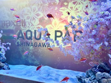 マクセル アクアパーク品川に投稿された画像（2024/3/25）