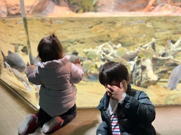 サンシャイン水族館に投稿された画像（2024/3/25）