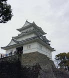 小田原城に投稿された画像（2024/3/25）