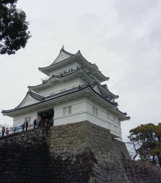 小田原城に投稿された画像（2024/3/25）