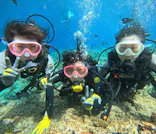 武藤潜水に投稿された画像（2024/3/25）