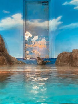 しながわ水族館に投稿された画像（2024/3/25）