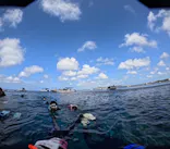 武藤潜水に投稿された画像（2024/3/25）