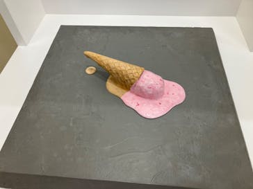 新潟県立自然科学館に投稿された画像（2024/3/25）