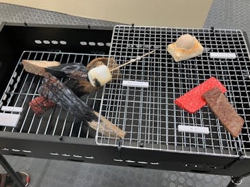 新潟県立自然科学館に投稿された画像（2024/3/25）